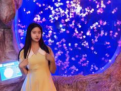 -威海华夏城景区