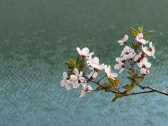 -京东龙泉谷旅游景区