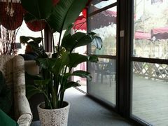 -森居forest休闲咖啡聚集地