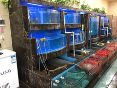 海鲜-海港酒楼·平价海鲜·茶点(小公园店)