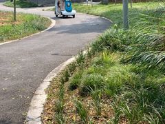 -桤木河湿地公园