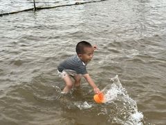 -碧海金沙