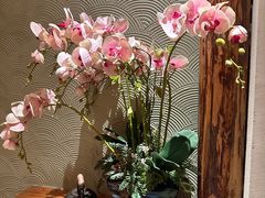 -花潮料理艺食馆(世欧广场店)