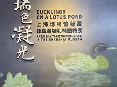 -上海博物馆(人民广场馆)