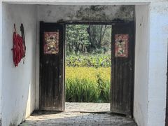 -溱湖国家湿地公园