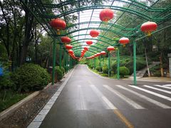 -石家庄市动物园