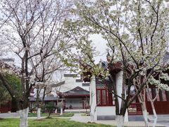 -堤角公园