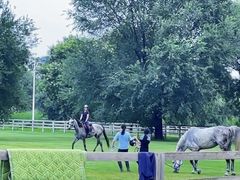 -北京群众马术培训基地