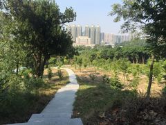 -中山市树木园