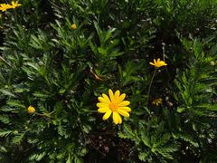 -昆山城市生态森林公园