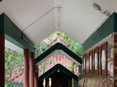 -九龙公园