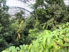 -南山植物园