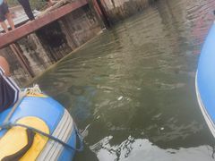 -秦岭峡谷漂流景区