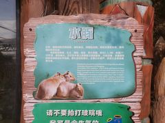 -杭州长乔极地海洋公园