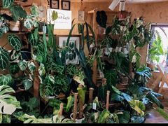 -Rabbit Cafe私房西餐甜点咖啡(栖霞路店)