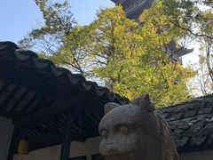 -常熟方塔园
