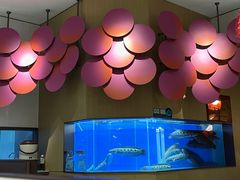 -望蓉城·古法酸菜鱼(世纪汇店)