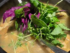 -一朵菌·野生菌探索家火锅(南亚店)