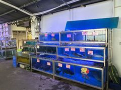 -八仔大富楼·河鲜(西江店)