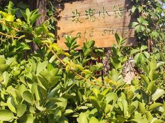 门面-陶野咖啡·面包披萨
