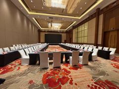 -上海浦东康桥绿地假日酒店