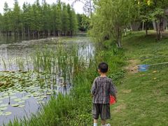 -白鹭湾湿地公园