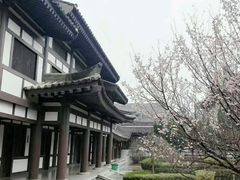 -法门文化景区