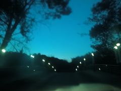 -上海佘山世茂艾美酒店