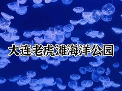 -大连老虎滩海洋公园