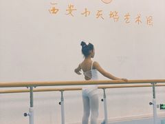 -西安小天鹅艺术团(曲江Alice店)