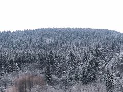 -武陵山森林公园