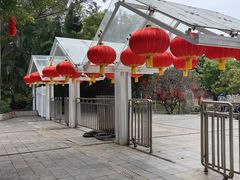 -深圳国际园林花卉博览园