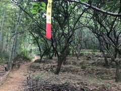 -鸡枕山