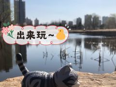 -长白岛森林公园