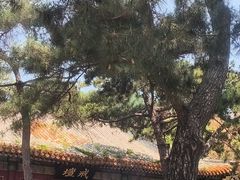 -潭柘寺景区