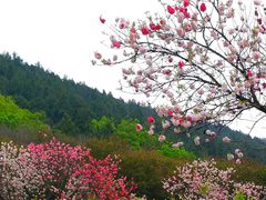 -云龙湖旅游景区