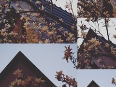 -颐和路民国时期公馆-风貌区