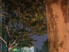 -知味观(湖滨总店)