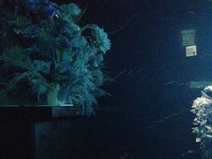 -黑桃K生日订制KTV