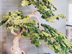 -虹泥小厨(南国花园总店)