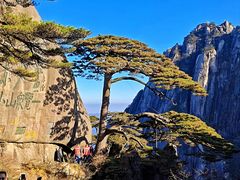 -黄山风景区