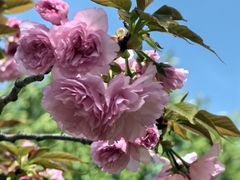 -徐家汇源景区-衡山公园