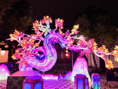 -横店影视城梦幻谷园区