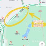 深圳人的后花园|暖暖的春风迎面桃花朵朵开
