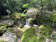 -牛背梁国家森林公园