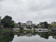 -顺峰山公园