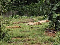 -海南热带野生动植物园