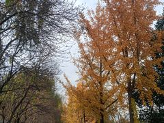 -洛阳市隋唐城遗址植物园