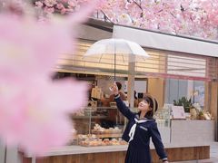 -首开·龙湖成都西宸天街