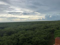 -北海金海湾红树林生态旅游区